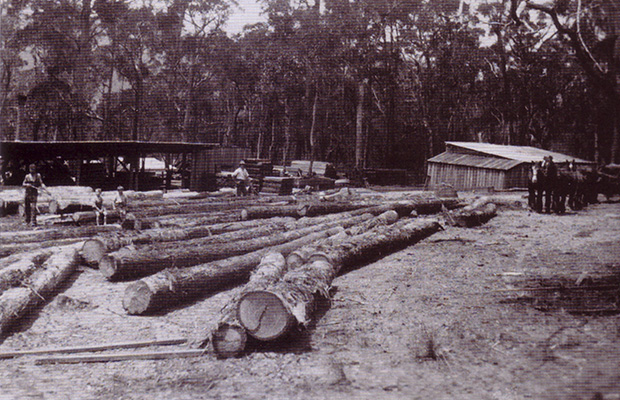 Mill site in the Grampians